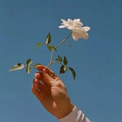 魔法战魂手机游戏下载