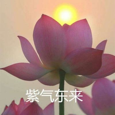 火兔游戏官方破晓之戮下载