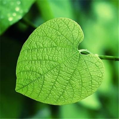 37最游记物语手游下载